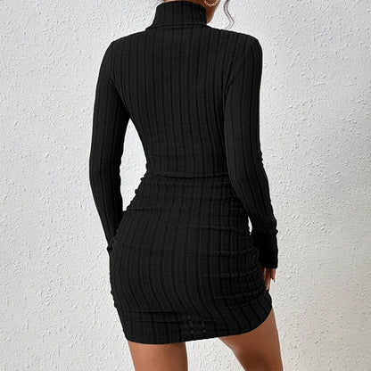 Turtleneck Ribbed Knit Bodycon Dress